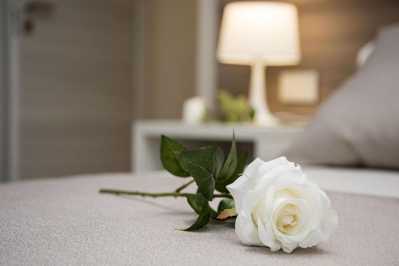 Camelot Appartamenti - Business E Holiday San Martino Buon Albergo Kültér fotó